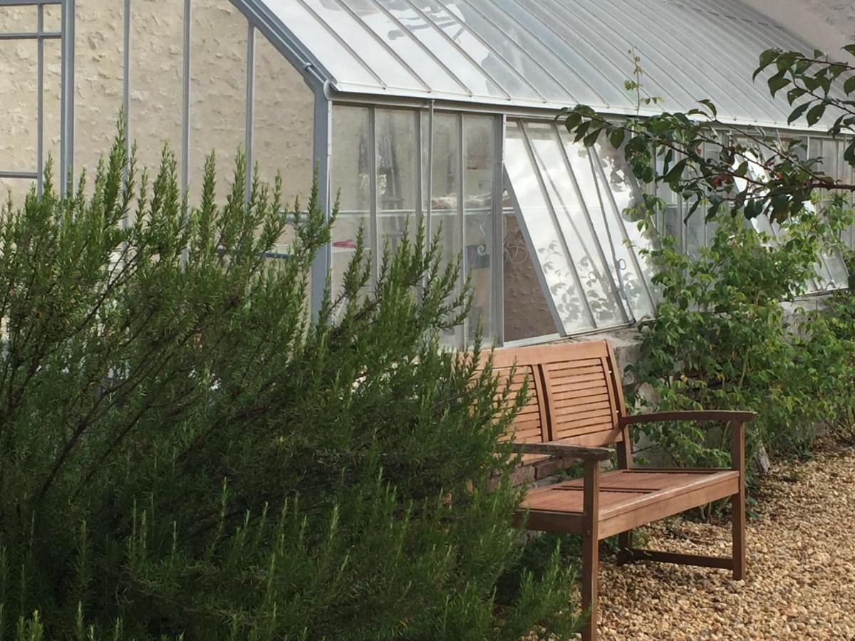 Vila L'Orangerie "The Orangery" Du Parc Des Nouies Selles-sur-Cher Exteriér fotografie